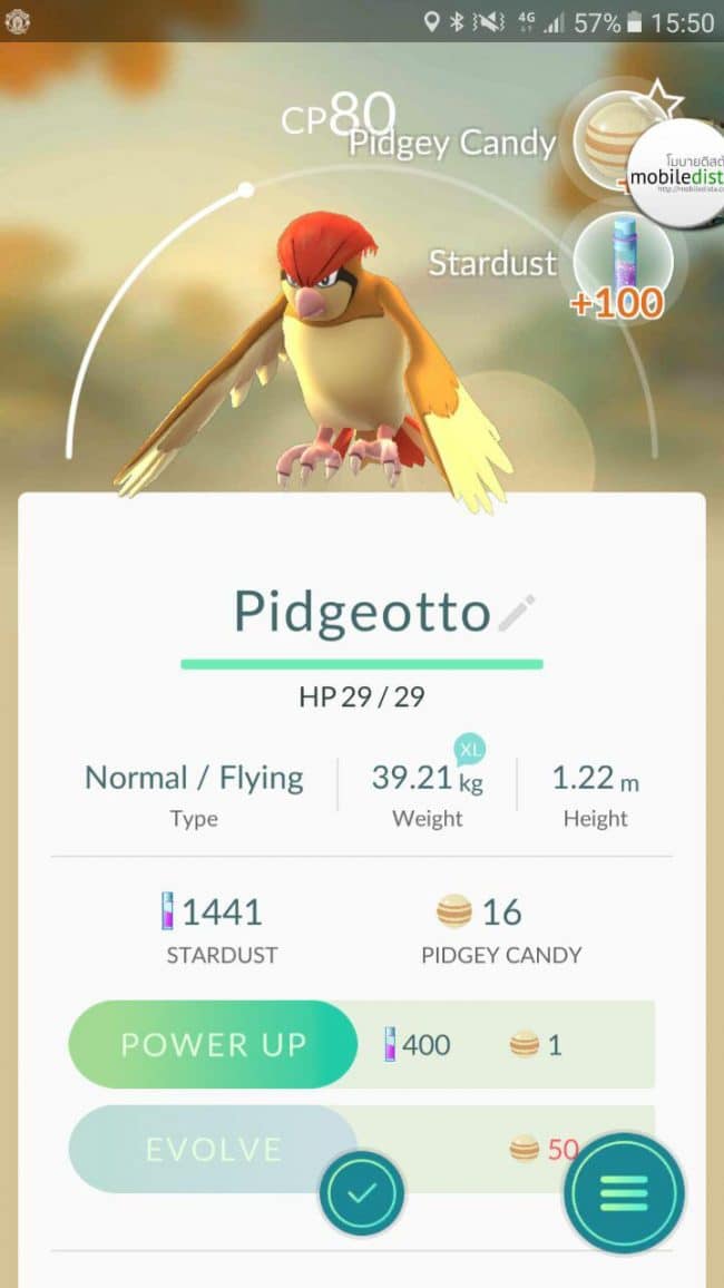 Pidgeotto_Pokemon Go