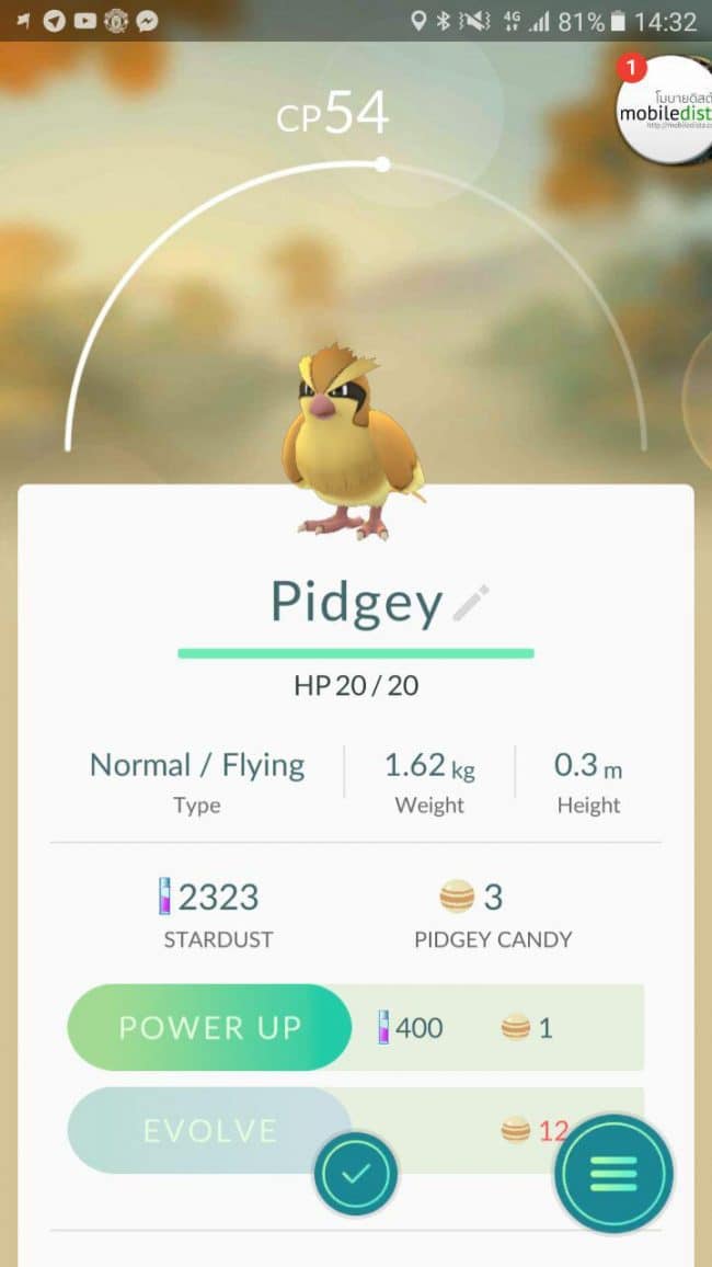 Pidgey_Pokemon Go