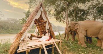 The-Picture-Perfect-at-Anantara-Golden-Triangle-Elephant-Camp-Resort-02.jpg